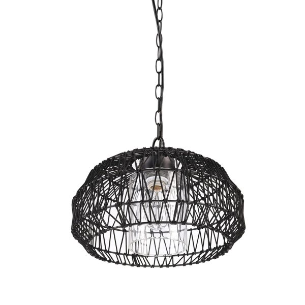 Single head outdoor/indoor plug-in pendant light - Image 2