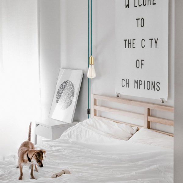 Single light inserted exposed chandelier - Image 9