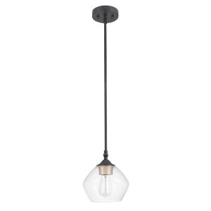 Transparent glass single head chandelier