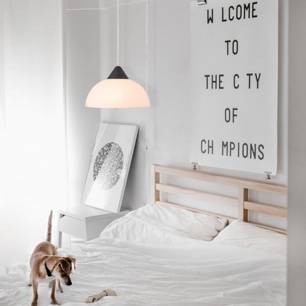 Single head plug-in pendant lamp - Image 4