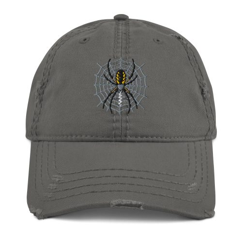 Distressed spider embroidered baseball cap